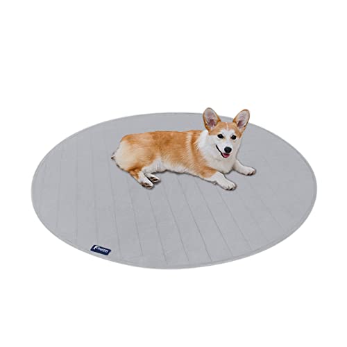 The Best Whelping Pads For Dogs Dogtime